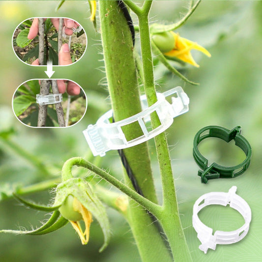 🔥Hot Sale🔥Secured Plastic Plant Clips