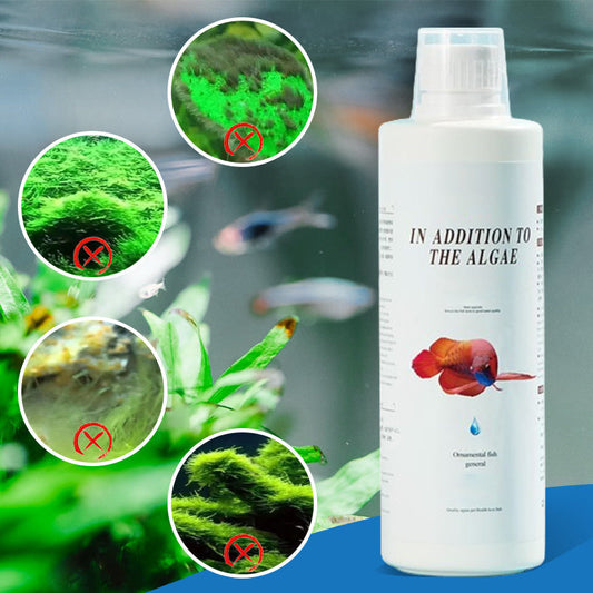 ⏳Limited time 50% OFF⏳Effective Algae Control for Aquarium