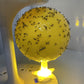 Sticky Fruit Fly Trap Ball with Stand & LED