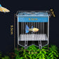 🐟4-Layer Protective Detachable Acrylic Fry Hatching Box