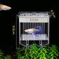 🐟4-Layer Protective Detachable Acrylic Fry Hatching Box