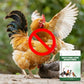 🏆200g Poultry Pecking & Biting Deterrent Powder🐔🌿