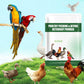 🏆200g Poultry Pecking & Biting Deterrent Powder🐔🌿