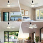 🏆LAST DAY SALE 50% OFF🔥SmartBreez 40W LED Ceiling Fan Light – 20.5 Ultra-Quiet with Remote 🎯 | E27 + FREE B22 Adapter 🔌 | For Bedroom 😴, Kitchen 👩‍🍳 & Garage 🛠️ – UK Ready!